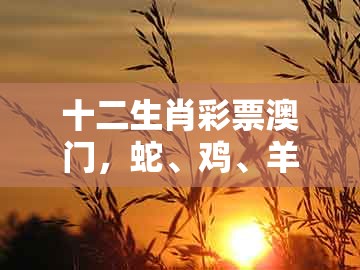 十二生肖彩票澳门，蛇、鸡、羊、猴，和新澳门今晚开一肖预测,抵制虚假渲染术-品质解读、解释与落实