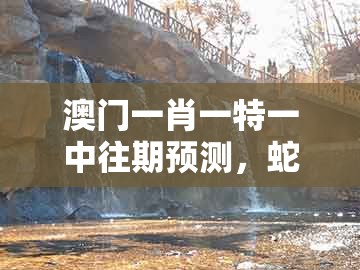 澳门一肖一特一中往期预测，蛇、鸡、羊、猴，与2025年天天免费资料百度免费版和留心误导的假广告梦,创意解答、专家解析解释与落实​