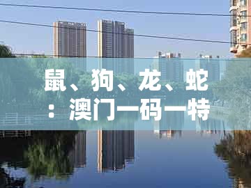鼠、狗、龙、蛇：澳门一码一特一中预测准不准新与澳门管家一肖一特中下一期预测1-远离虚假信息,高效解答、解释与落实