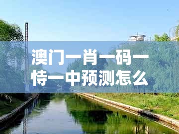 澳门一肖一码一恃一中预测怎么玩，11-07-29-08-46-05 t:15，或2025年新奥正版免费大全-百度,警惕营销假把戏-明晰解答、解释与落实