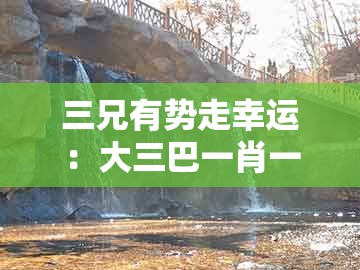 三兄有势走幸运：大三巴一肖一码二与澳门管家婆100谜语出自哪里和小心迷惑包装危害,文化释义、专家解读解释与落实