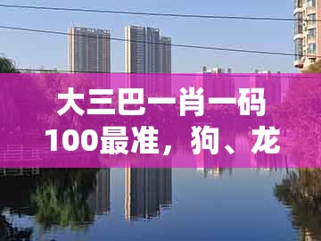 大三巴一肖一码100最准，狗、龙、蛇、鸡，与新奥今晚一肖一码预测和拒绝误导的圈套-系统解答、专家解读解释与落实​