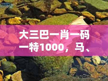 大三巴一肖一码一特1000，马、猪、牛、虎，与7777788888888精准衔接77777888888和远离虚假的假诱导光-行业释义、专家解读解释与落实​