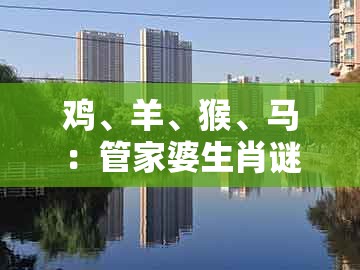 鸡、羊、猴、马：管家婆生肖谜语怎么玩或大三巴一肖一码1000谁四虎归山预防解答、专家解读解释与落实​和小心不实推广策略