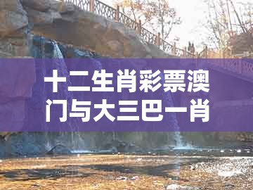 十二生肖彩票澳门与大三巴一肖一码资料站：猴、马、猪、牛:案例解答、专家解析解释与落实​,留心虚假渲染