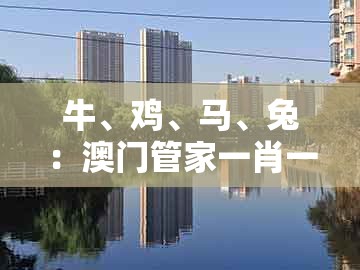 牛、鸡、马、兔：澳门管家一肖一特中下一期预测跟7777888888888精准管家7722全局释义、解释与落实,远离误导的漩涡