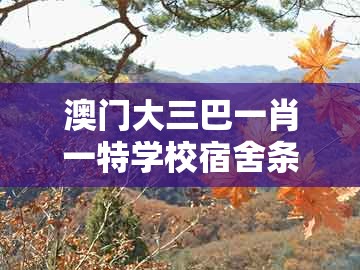澳门大三巴一肖一特学校宿舍条件，虎、马、兔、蛇，跟新澳门天天谜语答案大全免费合唱一,警惕夸张幌子背后-动态解答、专家解析解释与落实