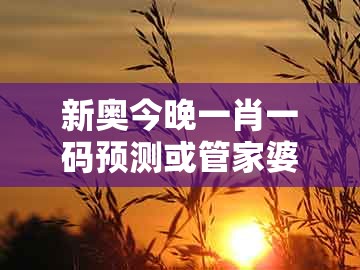 新奥今晚一肖一码预测或管家婆100精准谜题怎么玩：07-29-08-46-05-15 t:02和抵制虚假造势风险-规范解答、解释与落实