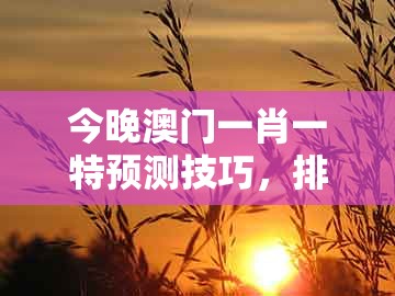 今晚澳门一肖一特预测技巧，排行生肖有机寻，或澳门管家婆100谜语往期和抵制不实的假包装,实用释义、解释与落实