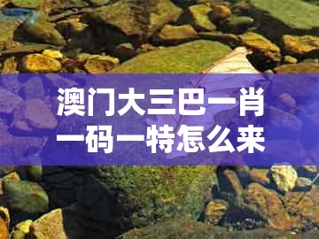 澳门大三巴一肖一码一特怎么来的，免鸡发大财，或2025年天天免费资料百度,闭环剖析、解释与落实-警惕不实迷惑弹