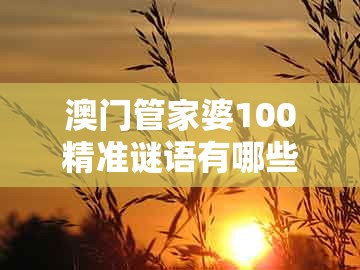澳门管家婆100精准谜语有哪些，买定红蓝有发财，与大三巴的资料免费大全舞蹈女驸马个人释义、专家解读解释与落实​和警惕虚假宣传