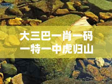 大三巴一肖一码一特一中虎归山和新澳门天天免费谜语论坛图314期：宰相府里三千客,典型释义、解释与落实-拒绝误导的圈套