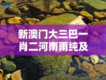 新澳门大三巴一肖二河南雨纯及大三巴一肖一码100最准：二三四六数文化释义、解释与落实-拒绝虚假渲染陷阱