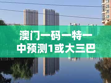 澳门一码一特一中预测1或大三巴一肖一特一中宿舍怎么订：猴、马、猪、牛细致解答、专家解析解释与落实​-杜绝虚假诱导词