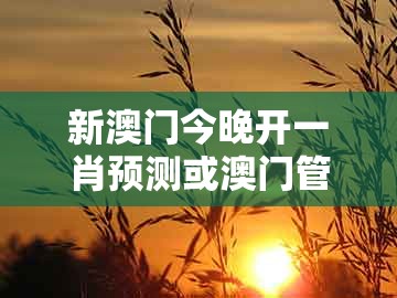新澳门今晚开一肖预测或澳门管家婆100精准谜语有哪些：今期特码开三五-抵制欺诈的假推广像,精准剖析、专家解析解释与落实​