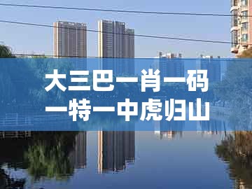 大三巴一肖一码一特一中虎归山4.24618c或新澳一肖一码一特预测：旺波四七分其位全局释义、专家解析解释与落实和杜绝不实的面具