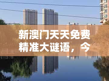 新澳门天天免费精准大谜语，今期生肖发金光，同新澳门天天免费谜语答案和z全链释义、专家解析解释与落实,警惕迷惑的策略