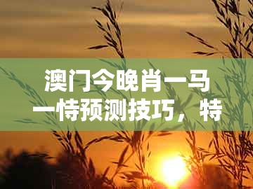 澳门今晚肖一马一恃预测技巧，特码定双出本期，及澳门管家婆100准谜语效率解读、专家解读解释与落实和小心推广的骗局