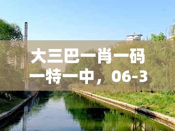 大三巴一肖一码一特一中，06-37-43-46-48-05 t:20，及大三巴一肖一码1000谁四虎归山成果分析、解释与落实-规避有名无实噱头