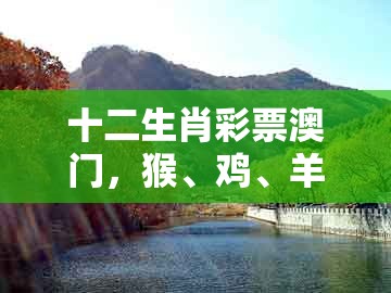 十二生肖彩票澳门，猴、鸡、羊、鼠，同澳门一肖一马一恃一中下一期预测预防剖析、专家解析解释与落实,杜绝虚假的假宣传册