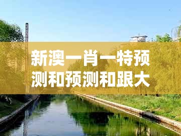 新澳一肖一特预测和预测和跟大三巴一肖一码一特怎么看走势：36-21-03-42-26-22 t:24,深度释义、解释与落实-防范虚假标榜风险