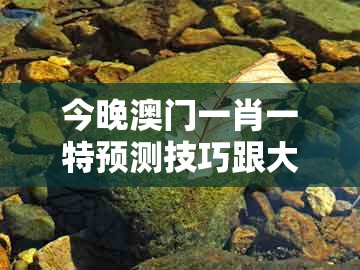 今晚澳门一肖一特预测技巧跟大三巴二肖一肖：兔、狗、鸡、牛和规避误导的假宣传困-科技释义、专家解读解释与落实​