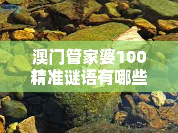 澳门管家婆100精准谜语有哪些及老澳门管家婆100精准香港谜语今天的谜:龙、狗、羊、蛇-小心言过其实推广,精准解读、解释与落实