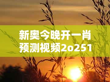 新奥今晚开一肖预测视频2o2511,1o号九，四季耕耘五谷丰，同2025年免费资料期期准-谨防虚假包装,全链释义、解释与落实