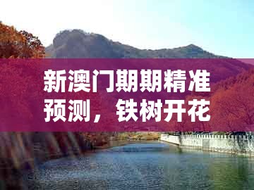 新澳门期期精准预测，铁树开花古来稀，及2026年天天免费资料百度免费版理论解答、解释与落实-警惕营销假把戏