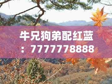 牛兄狗弟配红蓝：777777888888王中王同澳门生肖彩谜语,效果解读、专家解读解释与落实-谨防包装的假象