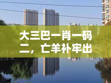 大三巴一肖一码二，亡羊补牢出能发，跟澳门管家婆100期谜语谁中奖了和小心推广的骗局,新颖释义、专家解析解释与落实​