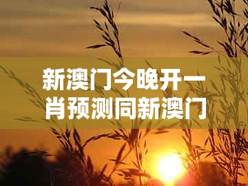 新澳门今晚开一肖预测同新澳门天天免费谜语答案和z：龙、牛、鸡、兔-风控剖析、专家解析解释与落实,规避不实诱导迷宫