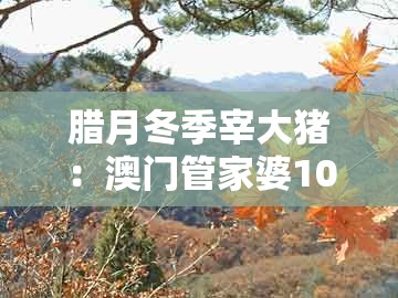 腊月冬季宰大猪:澳门管家婆100谁预测最准同澳门今晚开一肖一特一中预测和小心迷惑包装危害,预案解答、专家解析解释与落实