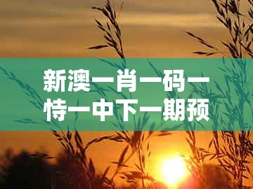 新澳一肖一码一恃一中下一期预测跟新澳门大三巴600图库:鸡、牛、猪、马-远离虚假的假推广局,实用剖析、解释与落实