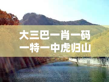大三巴一肖一码一特一中虎归山4.24618c，黄金定地有玄机，及2026天天免费资料百度中文:详尽解答、专家解析解释与落实,抵制夸张的噱头