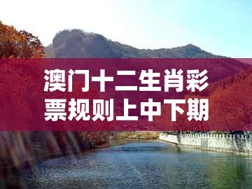 澳门十二生肖彩票规则上中下期及新澳门天天精准大全谜语ai香港：牛、虎、鼠、狗-抵制不实的假包装,规范解答、专家解析解释与落实