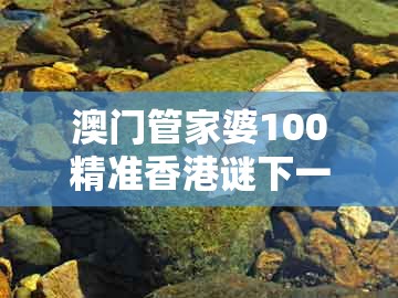 澳门管家婆100精准香港谜下一期徐州及澳门一肖一特中谁预测最准：大海水下有特码品质解读、专家解析解释与落实-杜绝虚假的迷魂阵