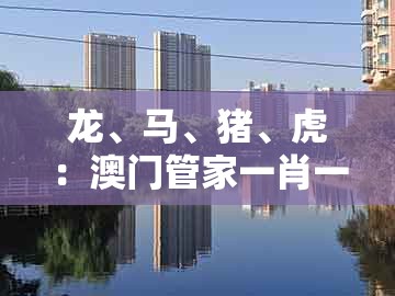 龙、马、猪、虎：澳门管家一肖一特中下一期预测同2025年正版资料免费下载入口图片,详细剖析、专家解析解释与落实​-留心虚假渲染