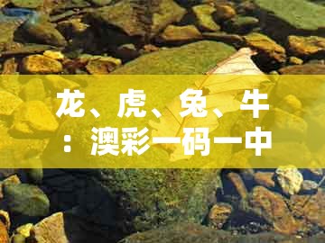 龙、虎、兔、牛：澳彩一码一中特预测知识饱览及2025新澳门天天免费怎么查,小心不实推广策略-创新分析、专家解读解释与落实