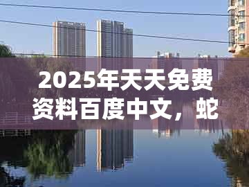 2025年天天免费资料百度中文,蛇、牛、鸡、马,跟2025年天天免费资料百度免费版和小心欺诈营销,方案解读、解释与落实
