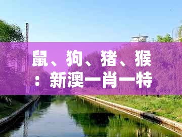 鼠、狗、猪、猴:新澳一肖一特预测和预测和跟2025年新奥正版免费大全-百度和抵制不实广告-贴切释义、专家解读解释与落实