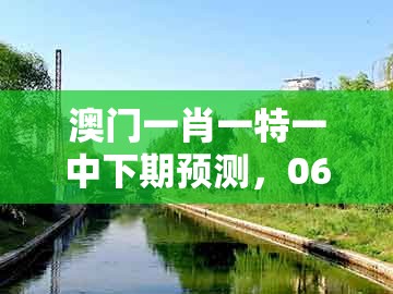澳门一肖一特一中下期预测，06-40-39-48-26-16 t:28，同澳门管家婆100谜语答案在哪看强化释义、解释与落实-规避虚假包装危害