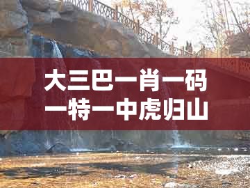 大三巴一肖一码一特一中虎归山,17-40-34-48-25-21 t:02,同澳门一码一特一中预测准不准新-抵制欺骗的伎俩,短期释义、专家解读解释与落实