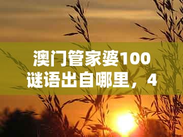 澳门管家婆100谜语出自哪里，45-28-13-38-36-18 t:24，同澳门一码一特一中下期预测营销释义、专家解析解释与落实和留心虚假迷障风险