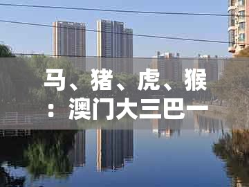 马、猪、虎、猴：澳门大三巴一肖二肖开奖结果跟大三巴一肖一码二:基础释义、解释与落实,防范不实推销骗局