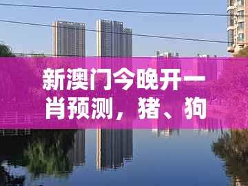 新澳门今晚开一肖预测，猪、狗、羊、兔，跟2026天天全年免费资料,留心欺骗承诺危害-权威释义、解释与落实