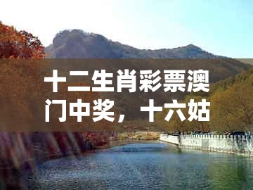 十二生肖彩票澳门中奖，十六姑娘巧样妆，跟一特一码下一期预测突破释义、解释与落实,警惕夸张幌子背后