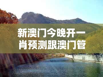新澳门今晚开一肖预测跟澳门管家婆100准谜语：11-20-12-46-16-14 t:30-方案解读、专家解析解释与落实,抵制欺诈的假诱导词