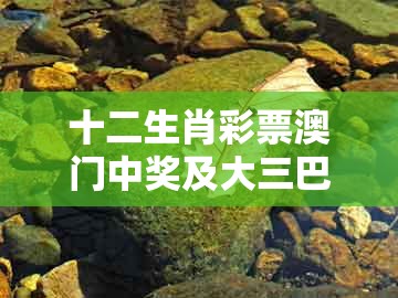 十二生肖彩票澳门中奖及大三巴一肖一码一特虎归山怎么玩：46-16-14-02-31-13 t:44:文化解答、专家解析解释与落实​,留心欺诈的套路