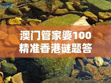 澳门管家婆100精准香港谜题答案,鸡、猪、蛇、羊,跟澳门一码一中一期预测-规避伪假宣传局,协同解答、解释与落实